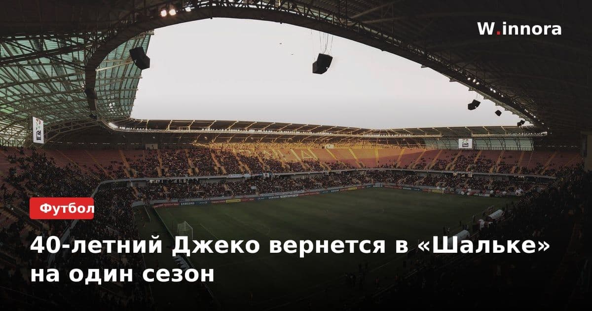 40-летний Джеко вернется в «Шальке» на один сезон