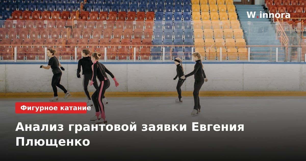 Анализ грантовой заявки Евгения Плющенко