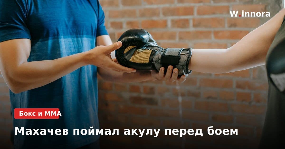 Махачев поймал акулу перед боем
