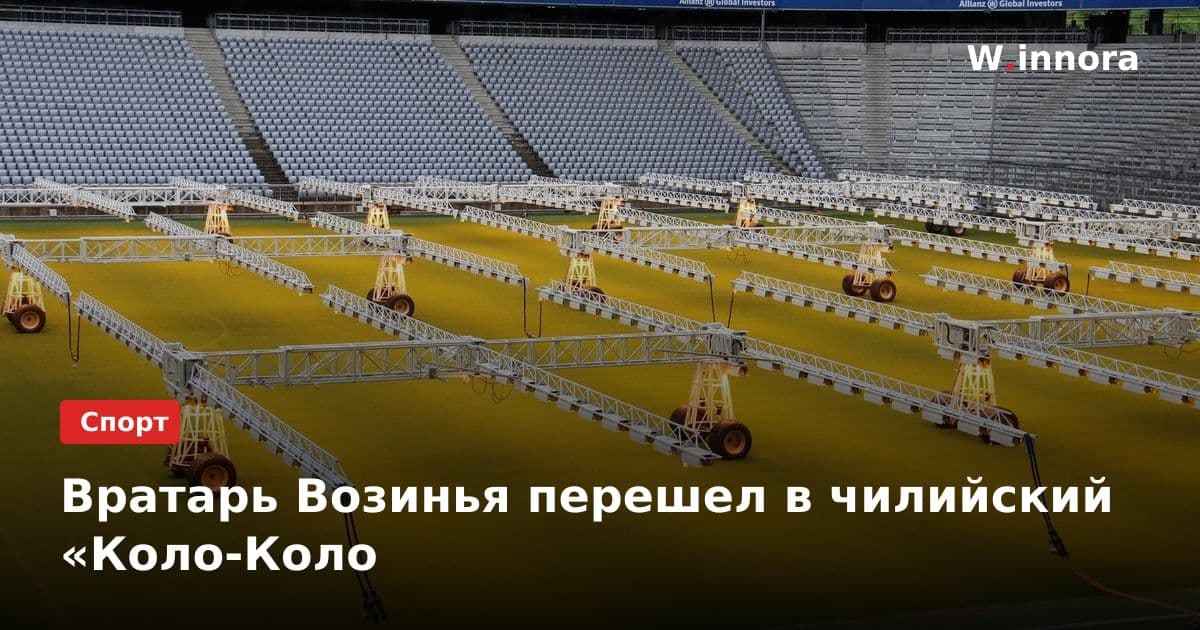 Вратарь Возинья перешел в чилийский «Коло-Коло
