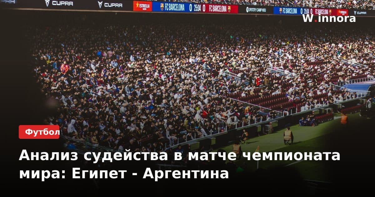 Анализ судейства в матче чемпионата мира: Египет - Аргентина