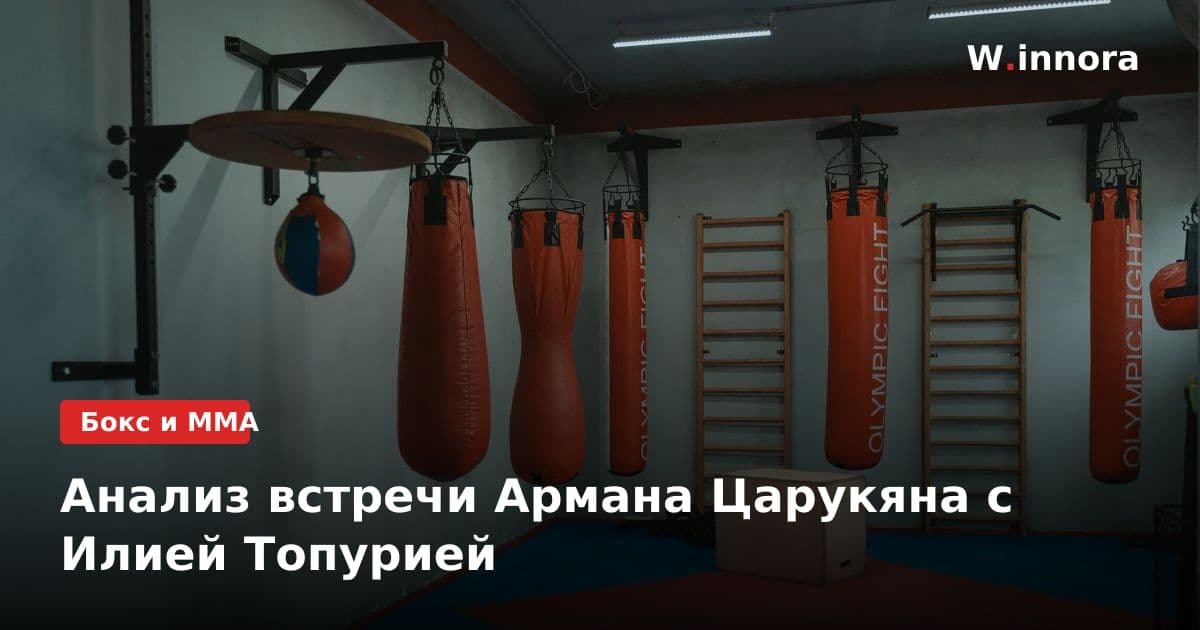 Анализ встречи Армана Царукяна с Илией Топурией