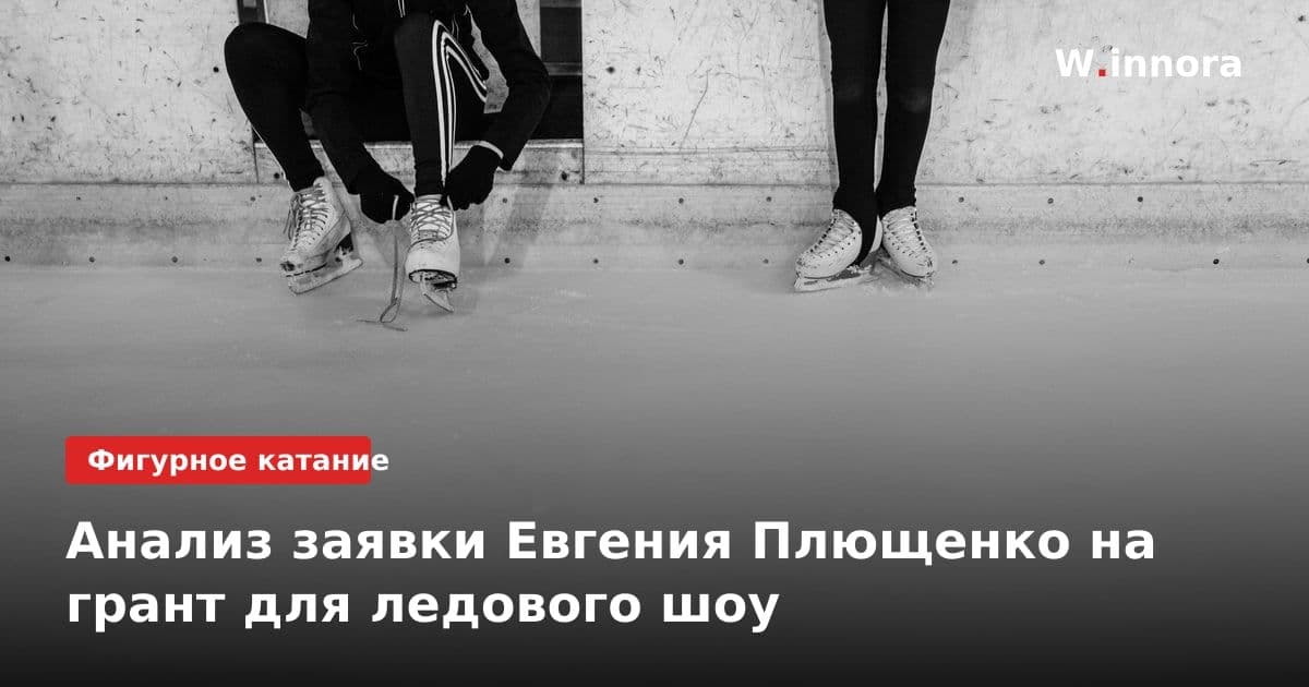 Анализ заявки Евгения Плющенко на грант для ледового шоу