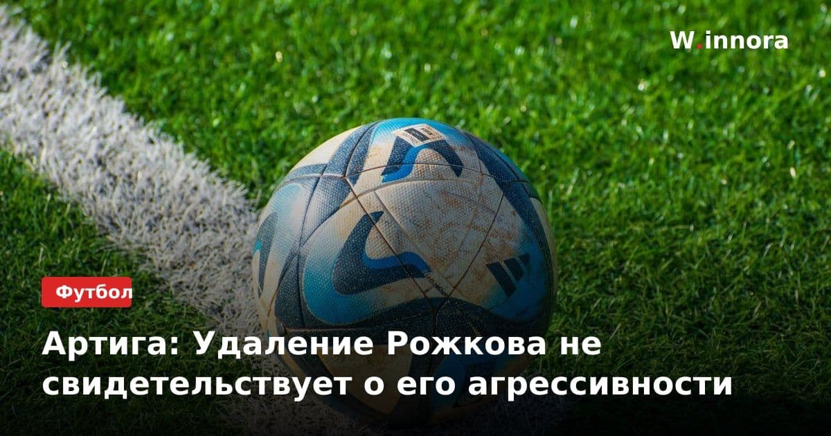Артига: Удаление Рожкова не свидетельствует о его агрессивности