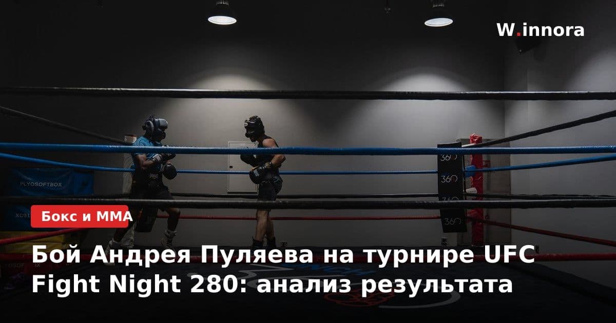 Бой Андрея Пуляева на турнире UFC Fight Night 280: анализ результата
