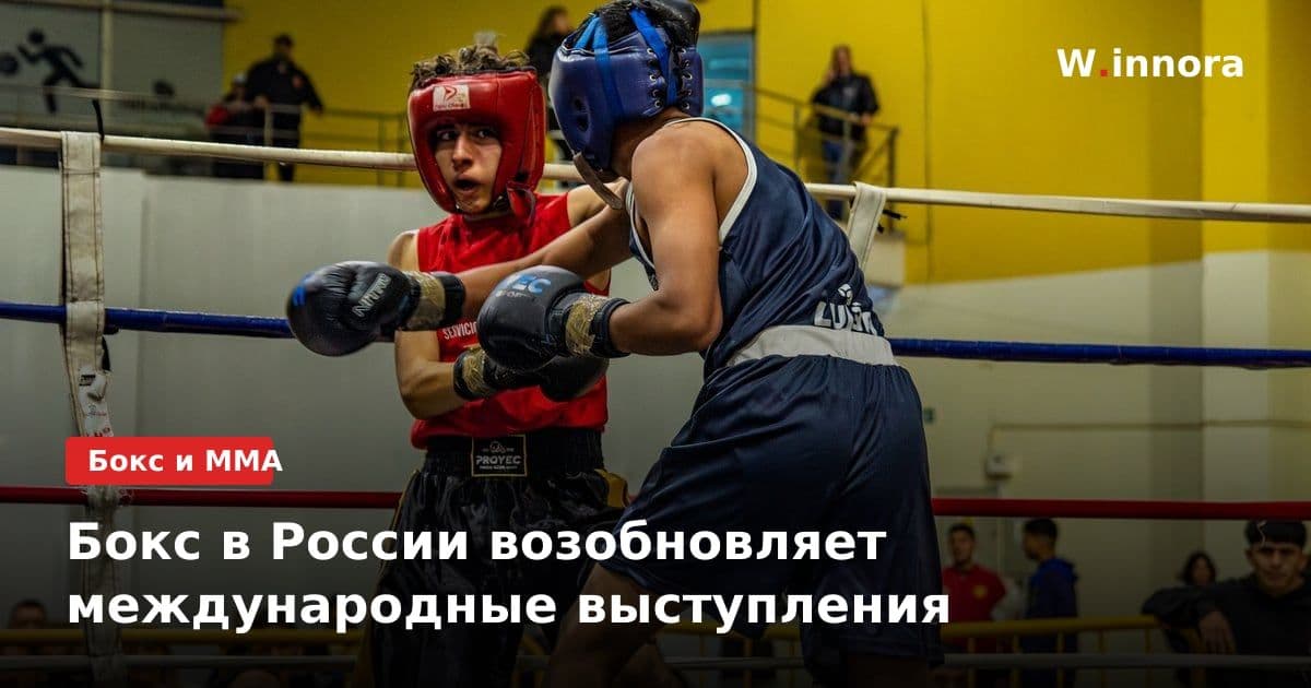 Бокс в России возобновляет международные выступления