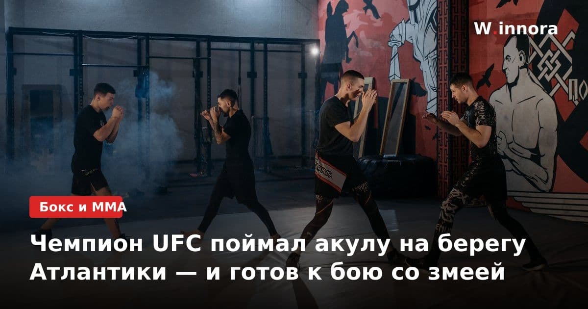 Чемпион UFC поймал акулу на берегу Атлантики — и готов к бою со змеей