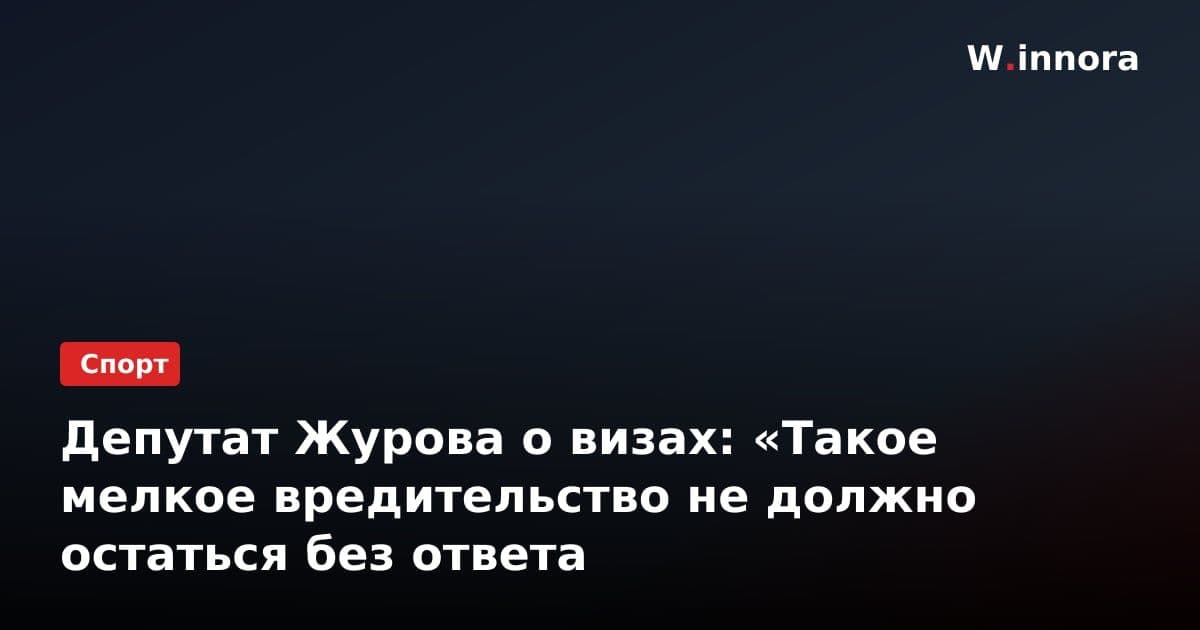 Депутат Журова о визах: «Такое мелкое вредительство не должно остаться без ответа