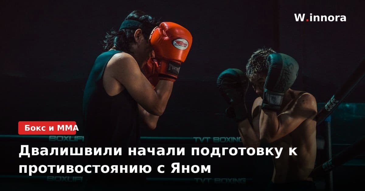 Двалишвили начали подготовку к противостоянию с Яном