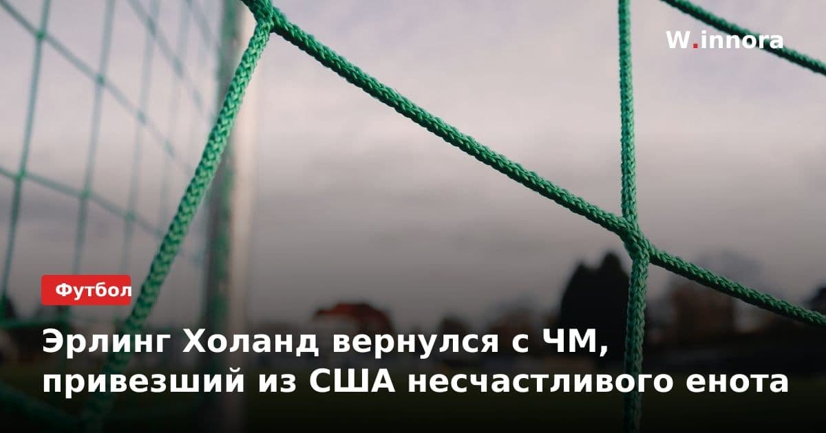 Эрлинг Холанд вернулся с ЧМ, привезший из США несчастливого енота