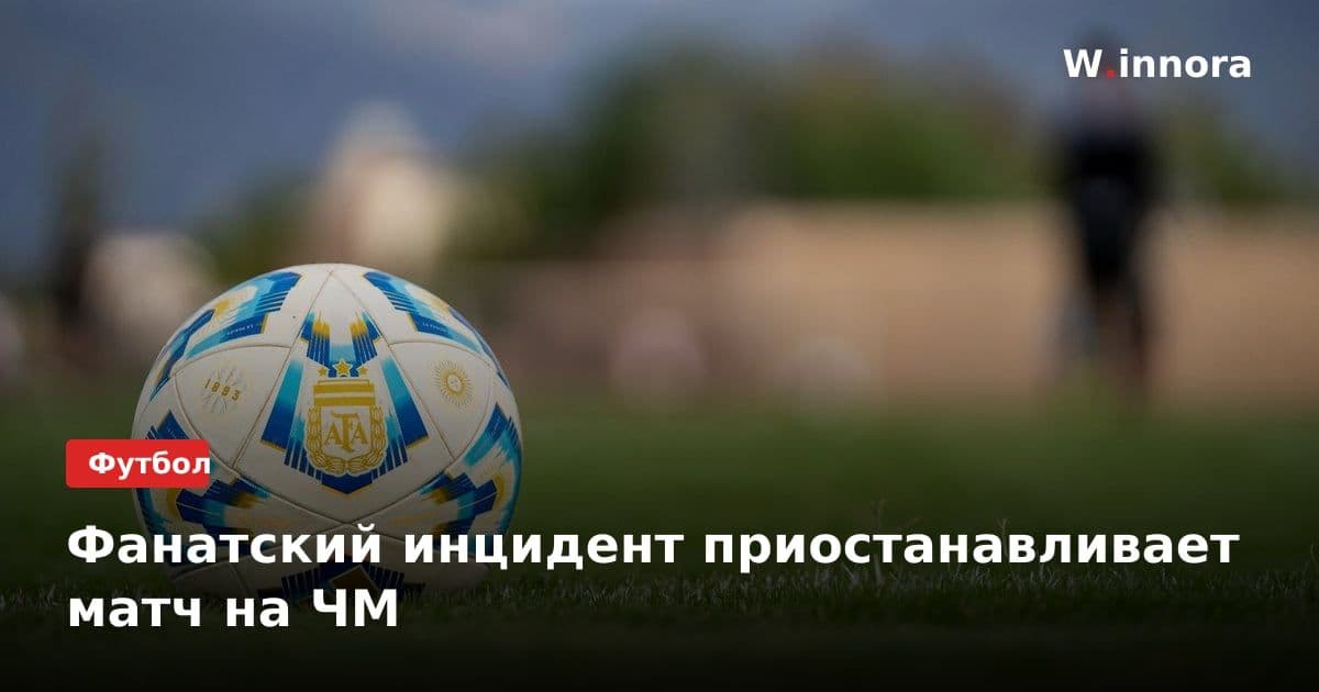 Фанатский инцидент приостанавливает матч на ЧМ