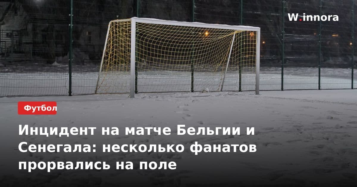 Инцидент на матче Бельгии и Сенегала: несколько фанатов прорвались на поле
