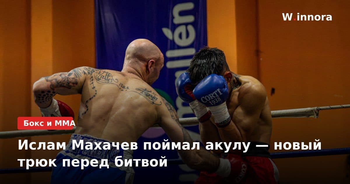Ислам Махачев поймал акулу — новый трюк перед битвой