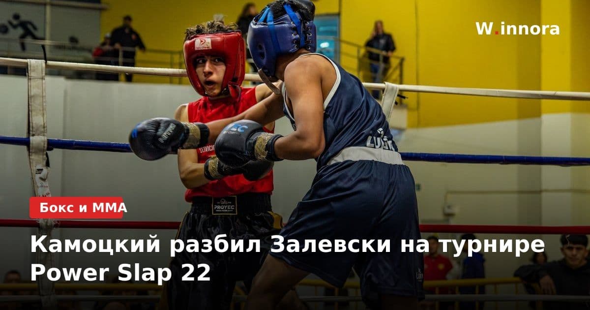 Камоцкий разбил Залевски на турнире Power Slap 22