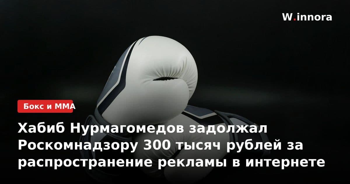 Хабиб Нурмагомедов задолжал Роскомнадзору 300 тысяч рублей за распространение рекламы в интернете