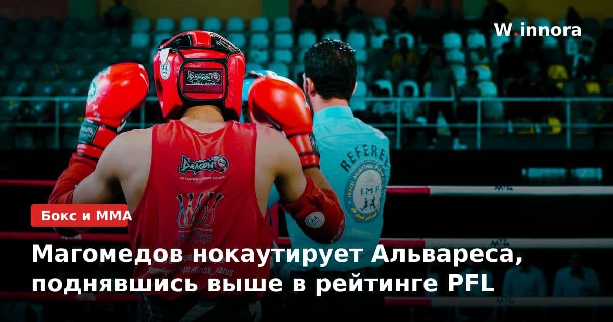 Магомедов нокаутирует Альвареса, поднявшись выше в рейтинге PFL
