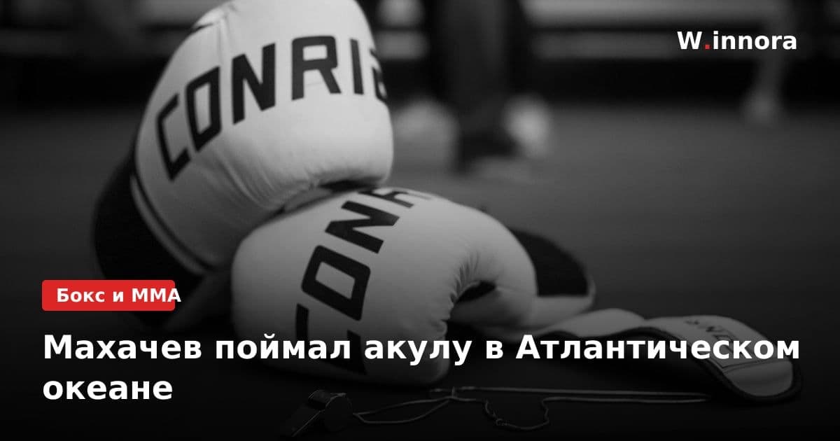 Махачев поймал акулу в Атлантическом океане