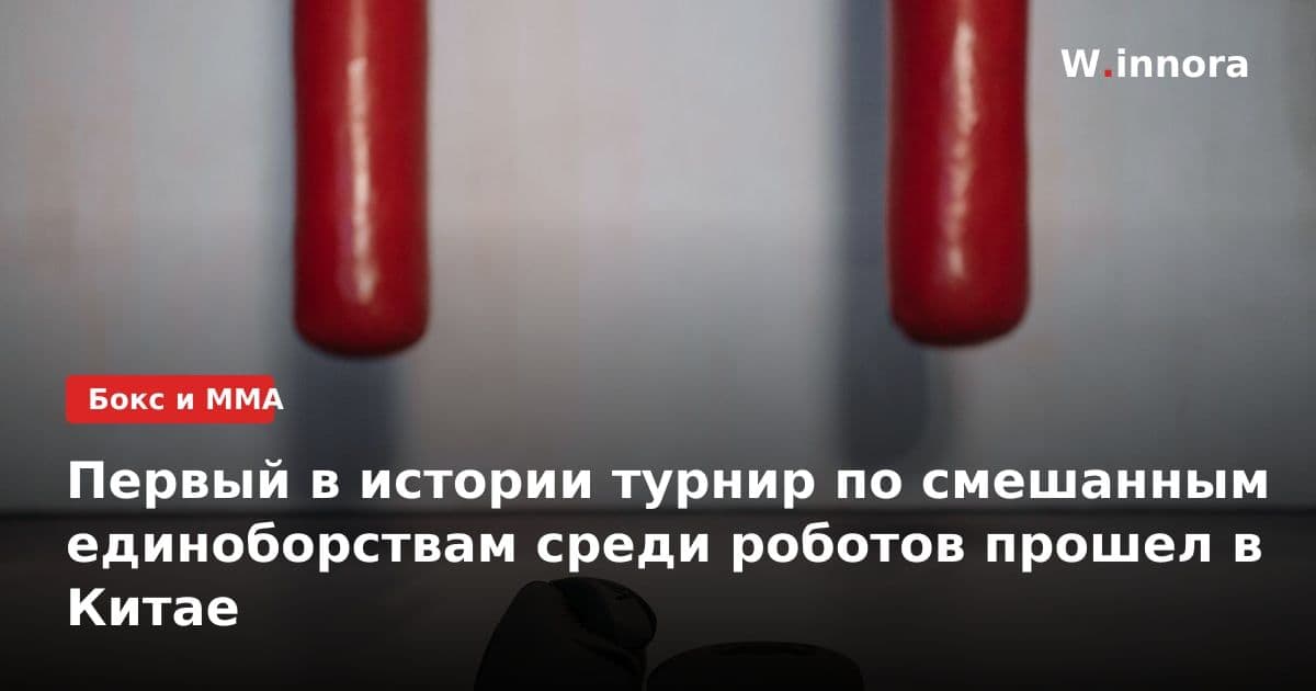 Первый в истории турнир по смешанным единоборствам среди роботов прошел в Китае