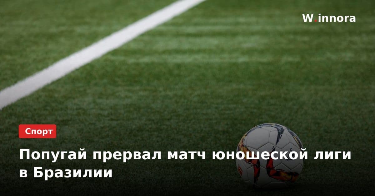 Попугай прервал матч юношеской лиги в Бразилии