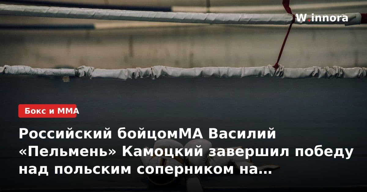 Российский бойцомМА Василий «Пельмень» Камоцкий завершил победу над польским соперником на турнире Power Slap