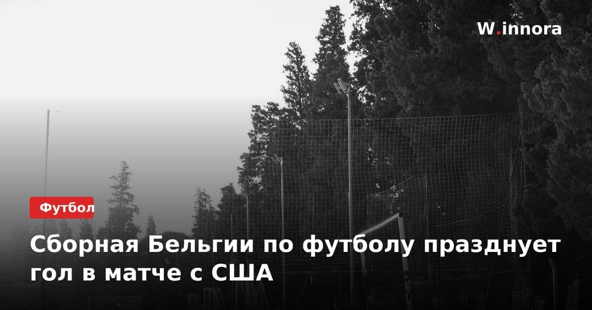 Сборная Бельгии по футболу празднует гол в матче с США