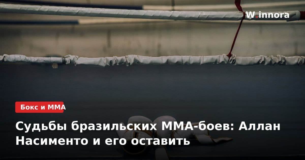 Судьбы бразильских ММА-боев: Аллан Насименто и его оставить