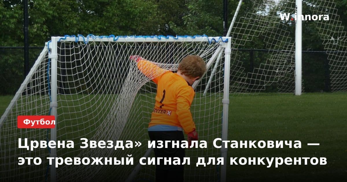 Црвена Звезда» изгнала Станковича — это тревожный сигнал для конкурентов