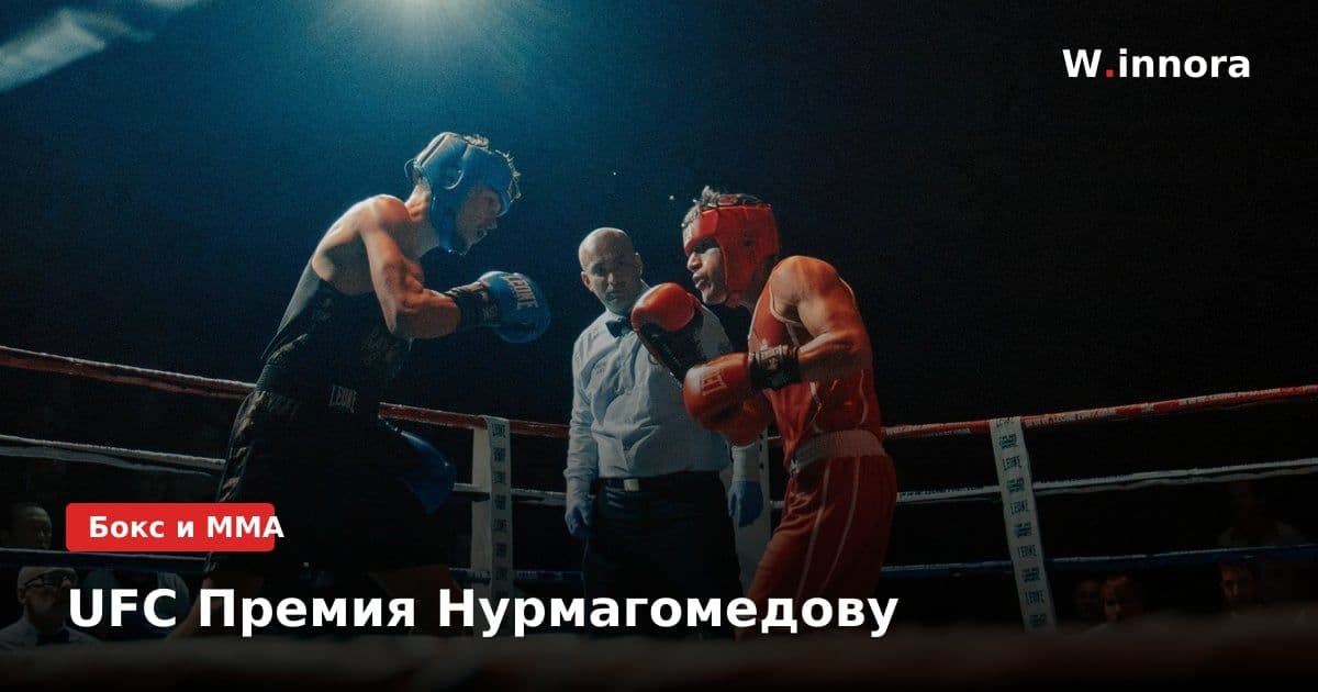 UFC Премия Нурмагомедову