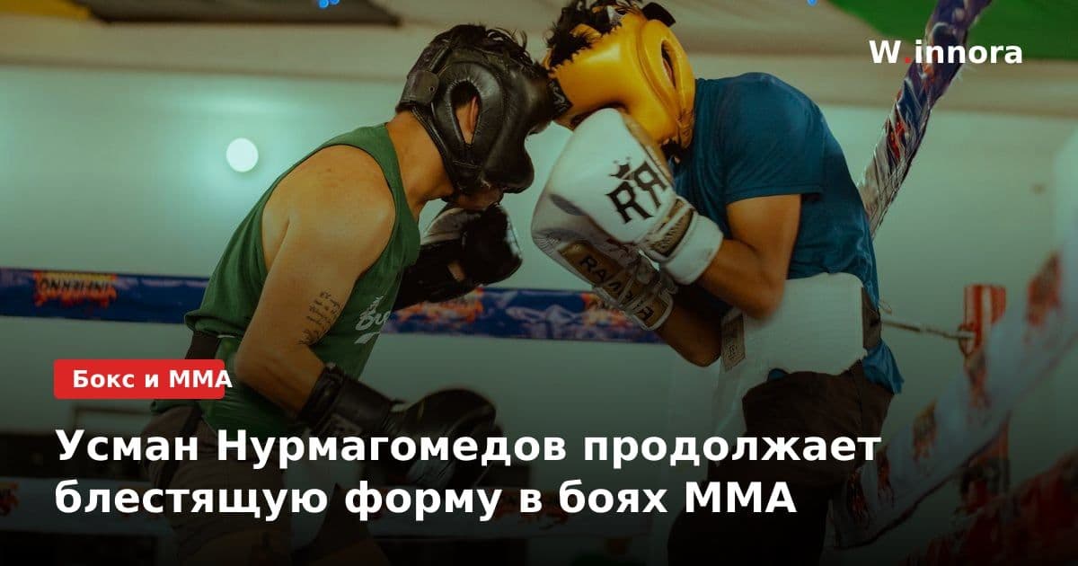 Усман Нурмагомедов продолжает блестящую форму в боях ММА