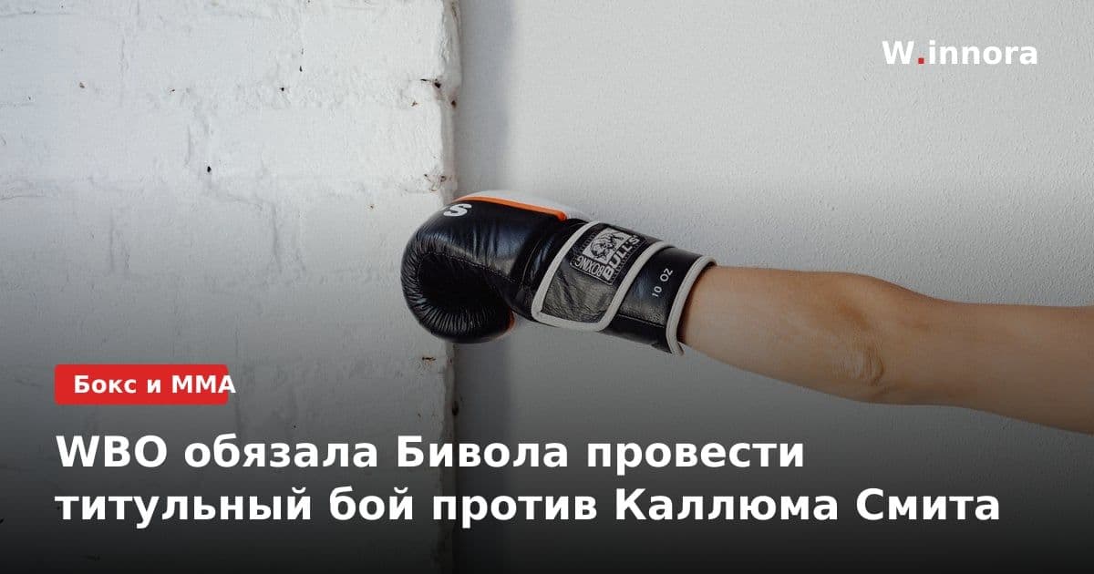 WBO обязала Бивола провести титульный бой против Каллюма Смита