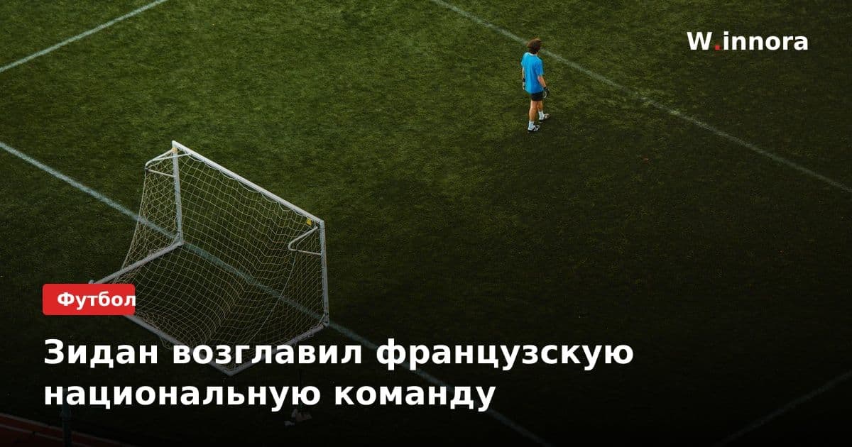 Зидан возглавил французскую национальную команду